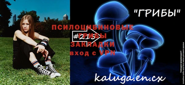 дурь Балахна