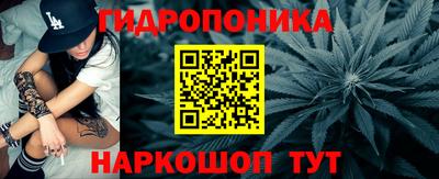 стафф Новокубанск