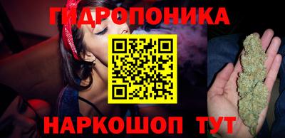 стафф Новокубанск