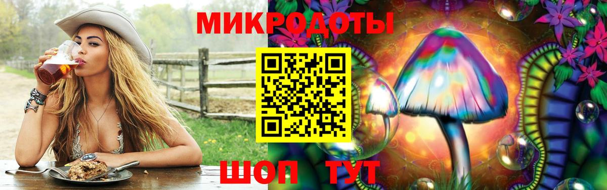 Псилоцибиновые грибы Psilocybe Новый Уренгой